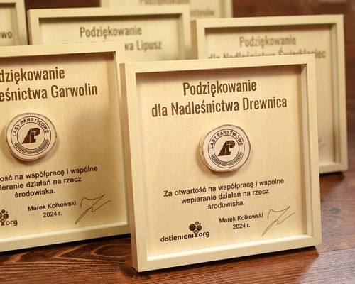 DSC_8520 — kopia.JPG