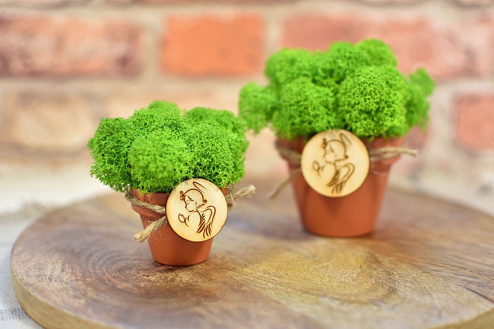 Drobne pamiątki dla gości na Chrzest lub Komunię w formie doniczek z zielonym mchem.