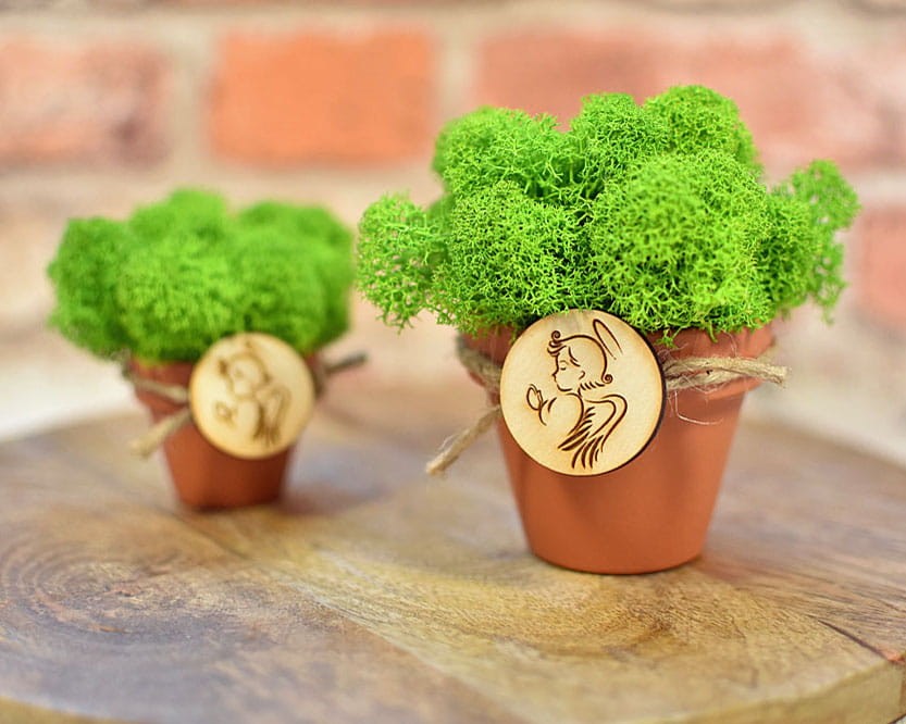 Ekologiczne pamiątki dla gości w formie doniczek z mchem chrobotkiem.