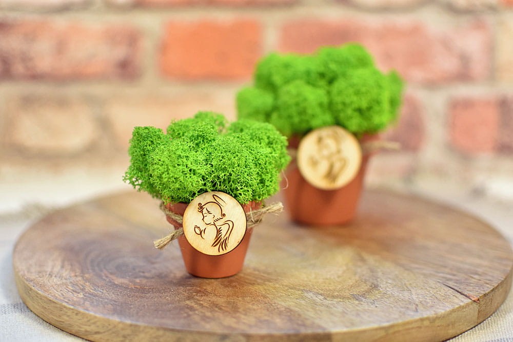Doniczki z żywym mchem ze Skandynawii i plakietką z aniołkiem.