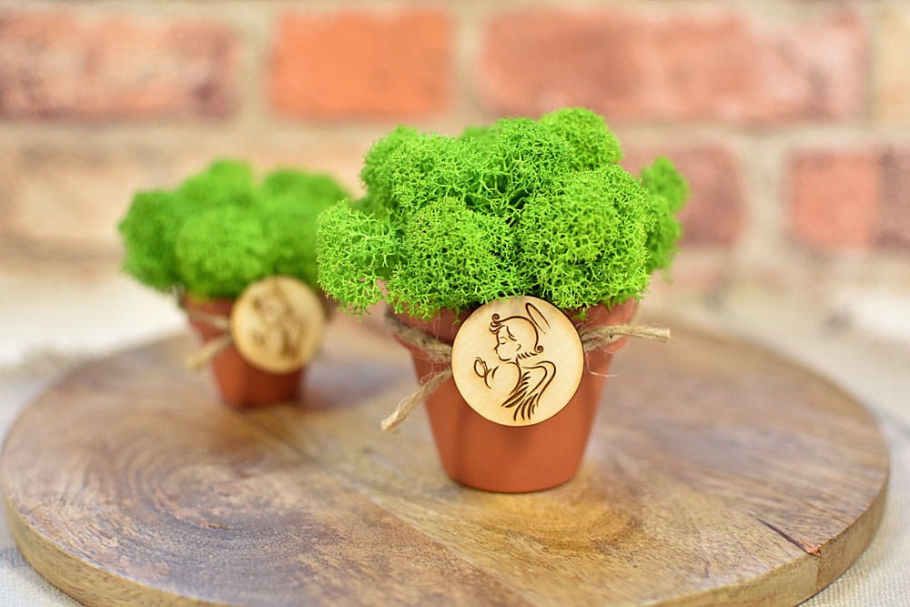 ekologiczny prezent dla gości - doniczka z mchem i okolicznościową tabliczką.