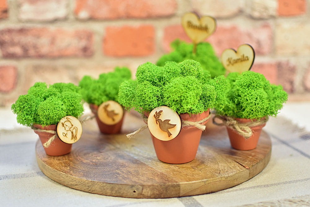 Pomysły na drobne eko prezenty dla gości w formie dekoracji z mchu w doniczce.