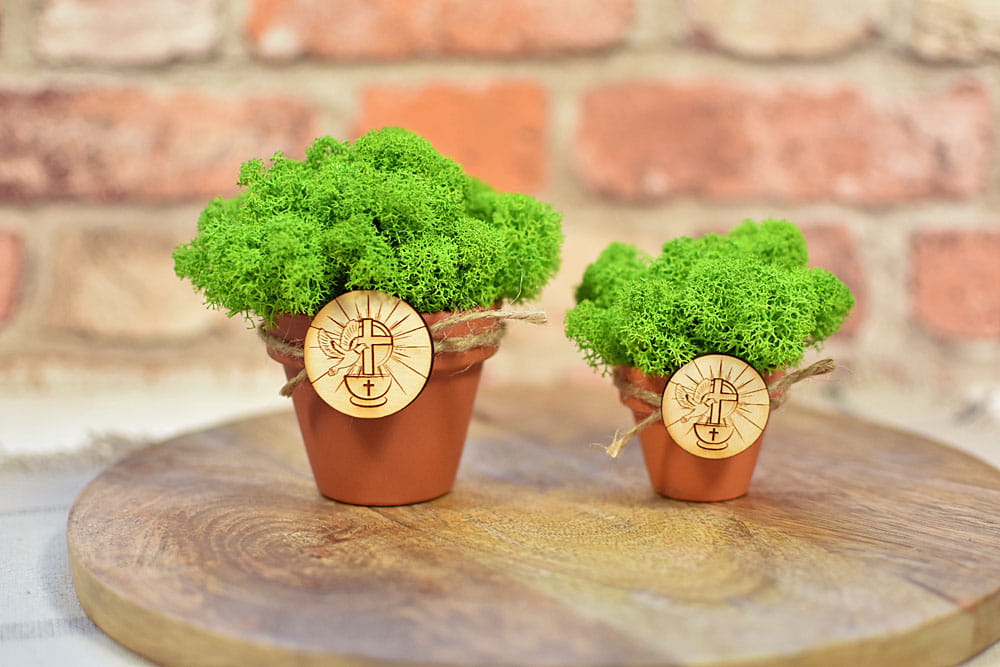 Doniczka wypełniona mchem chrobotkiem z tabliczką z chrzcielnicą.