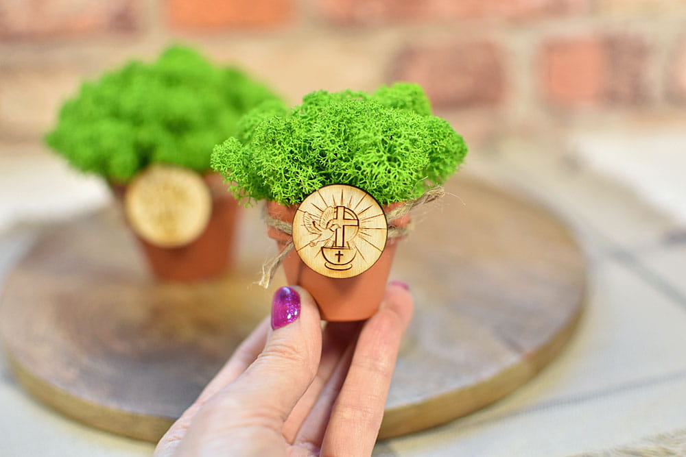 Mini prezent dla gości na Chrzest - doniczka z żywym mchem ze Skandynawii.