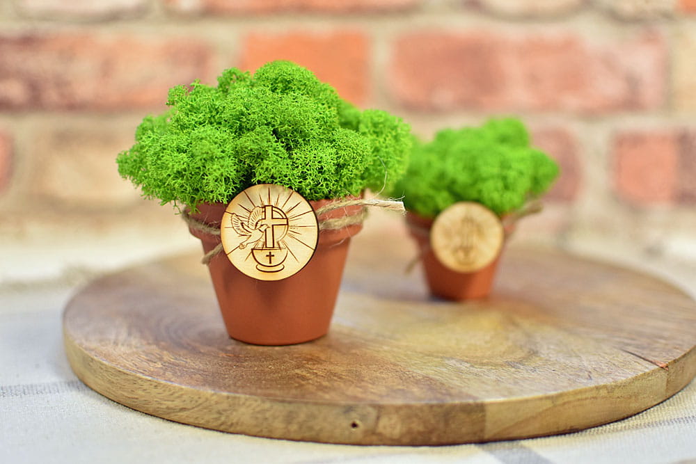 Eko podziękowanie dla gości z okazji Chrztu w formie mini doniczki z naturalnym mchem.
