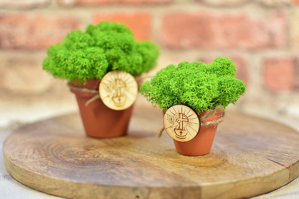 Mini doniczki z zielonym mchem ze Skandynawii i plakietką z chrzcielnicą.