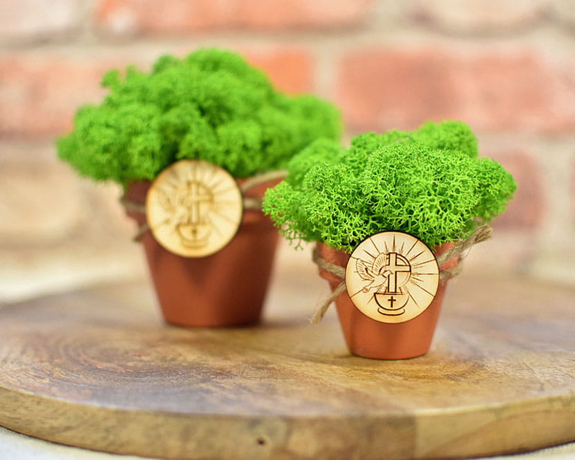 Eko pamiątki dla gości w formie mini doniczek z prawdziwym mchem ze Skandynawii.