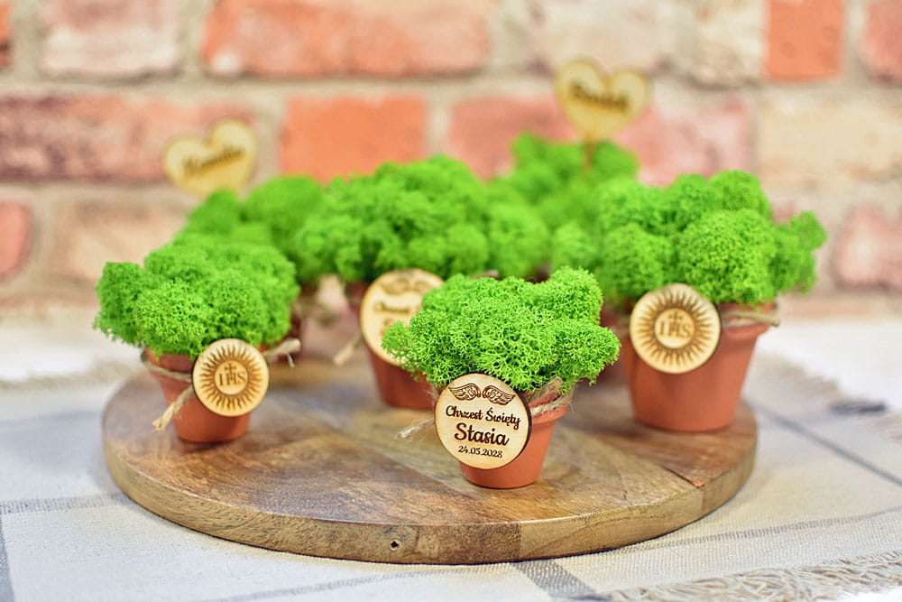 Eko upominki dla gości w formie dekoracji z mchu w mini doniczce.