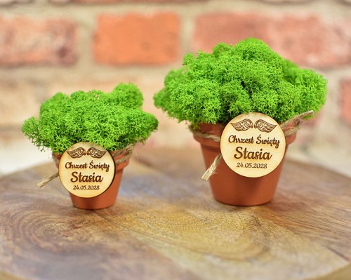 Doniczka z żywym mchem jako pomysł na eko pamiątkę dla gości.