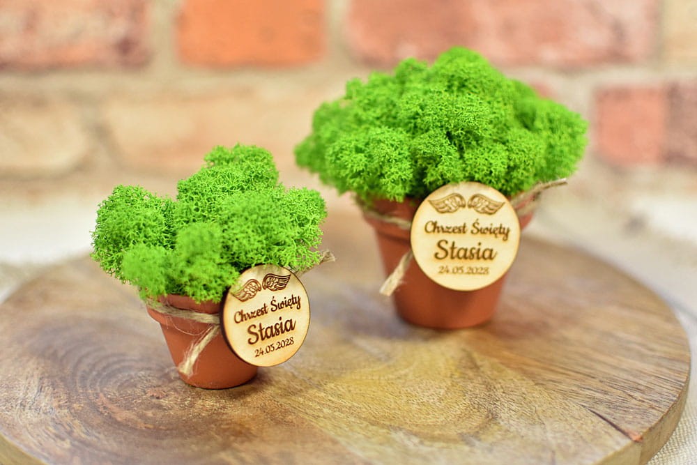 Eko podziękowania dla gości w formie doniczek z naturalnym mchem i napisami.