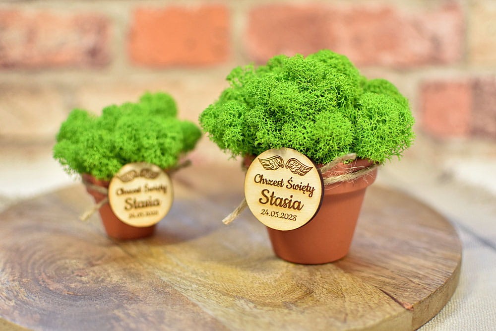 Doniczka z naturalnym mchem i okolicznościową plakietką jako podarunek dla gości.