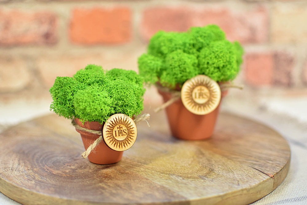 Dekoracje z mchu chrobotka w doniczce z plakietką IHS.