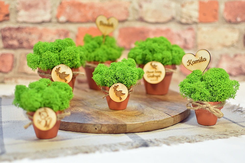 Różne wzory mini doniczek z mchem chrobotkiem.