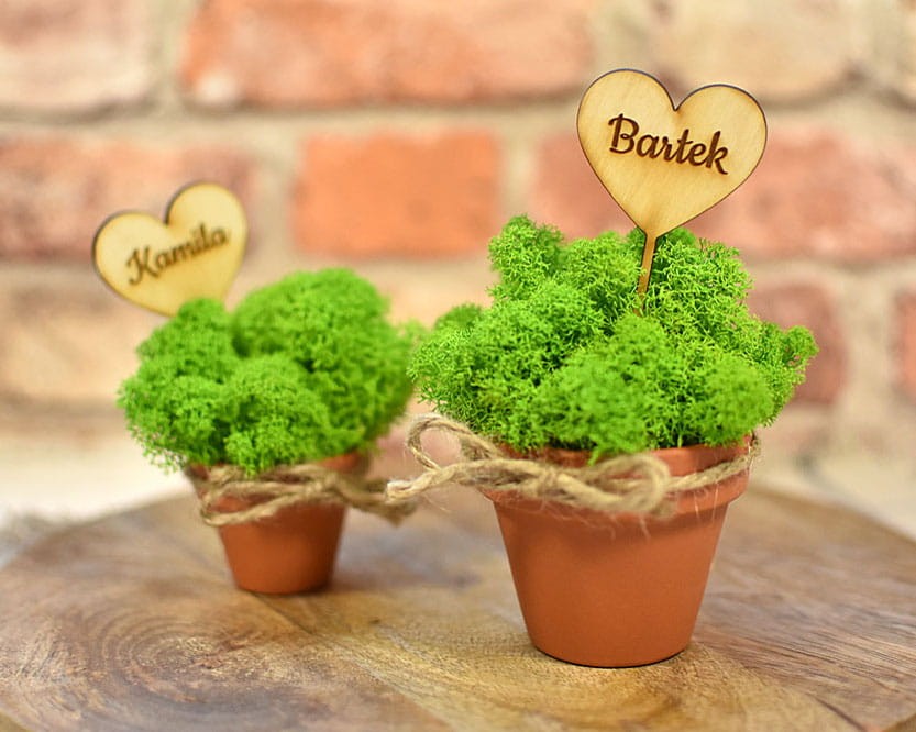 DSC_8737 — kopia.JPG