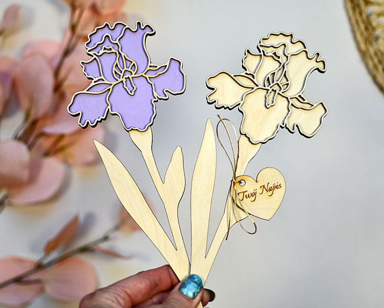 DSC_0895 — kopia.JPG