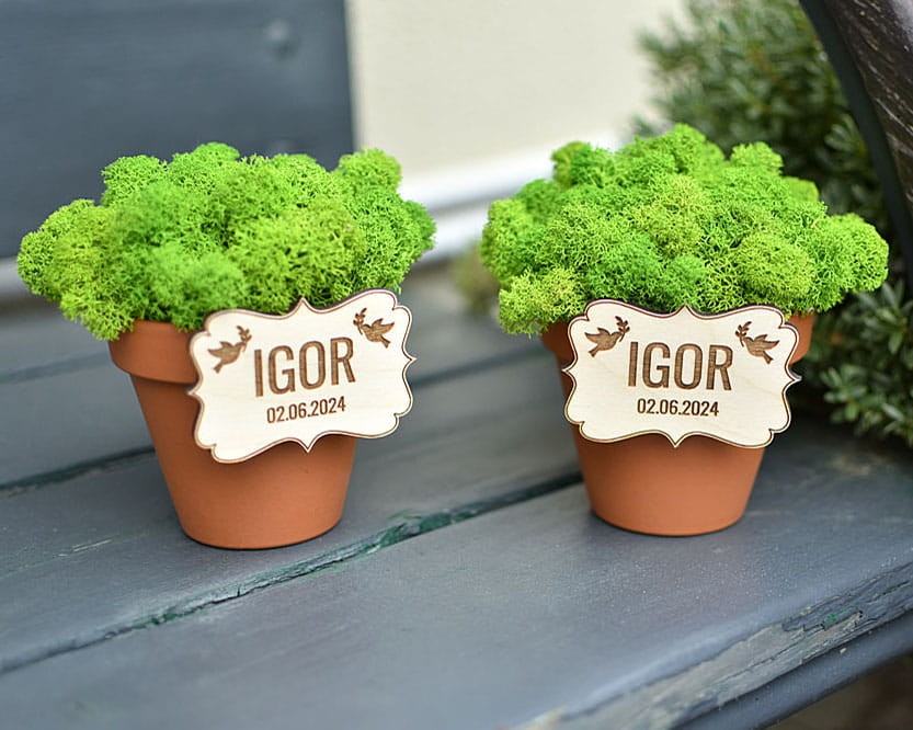 DSC_1081 — kopia.JPG