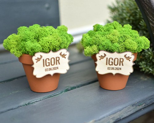 DSC_1081 — kopia.JPG