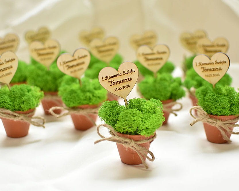 DSC_1168 — kopia.JPG