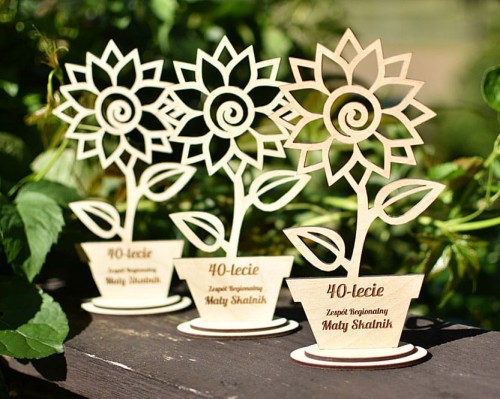 DSC_2227 — kopia.JPG