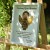 DSC_0499 — kopia.JPG
